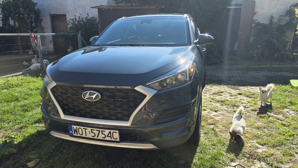 Zdjęcie: 2008 Hyundai Tucson