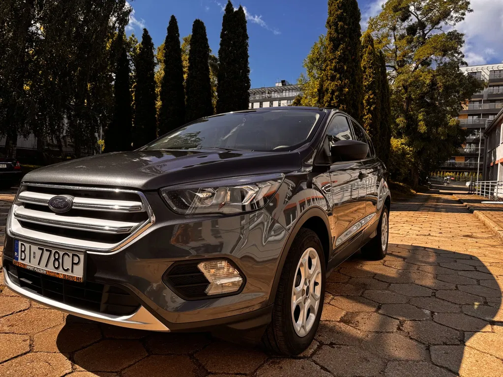 Zdjęcie: 2019 Ford Escape