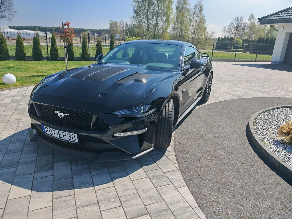 Zdjęcie: 2019 Ford Mustang
