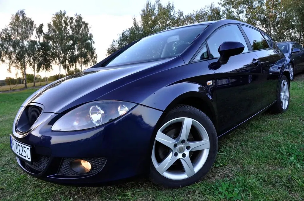 Zdjęcie: 2009 Seat Leon