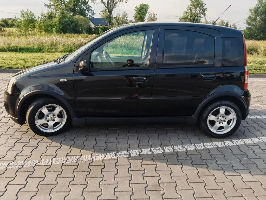 Zdjęcie: 2007 Fiat Panda