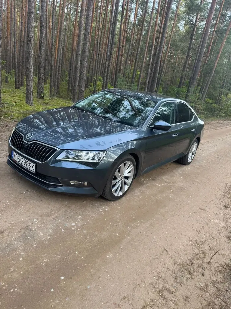 Zdjęcie: 2019 Skoda Superb