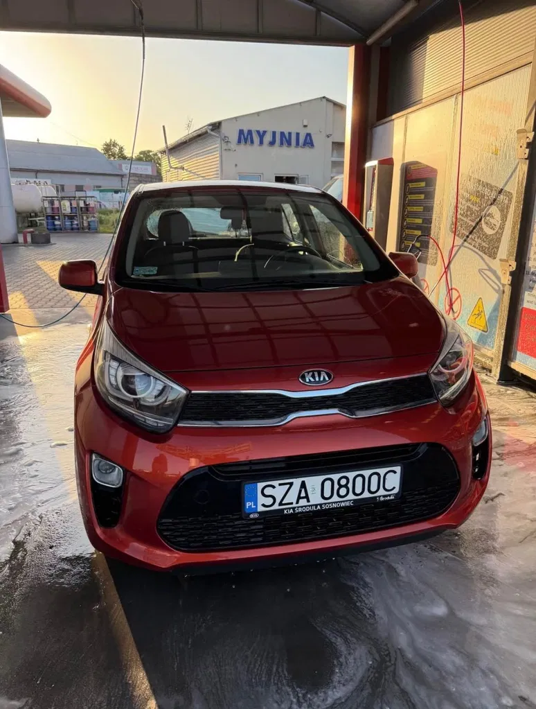Zdjęcie: 2020 Kia Picanto