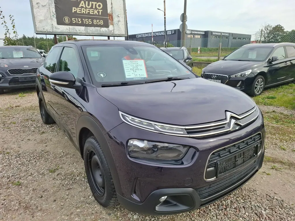 Zdjęcie: 2019 Citroen C4 Cactus