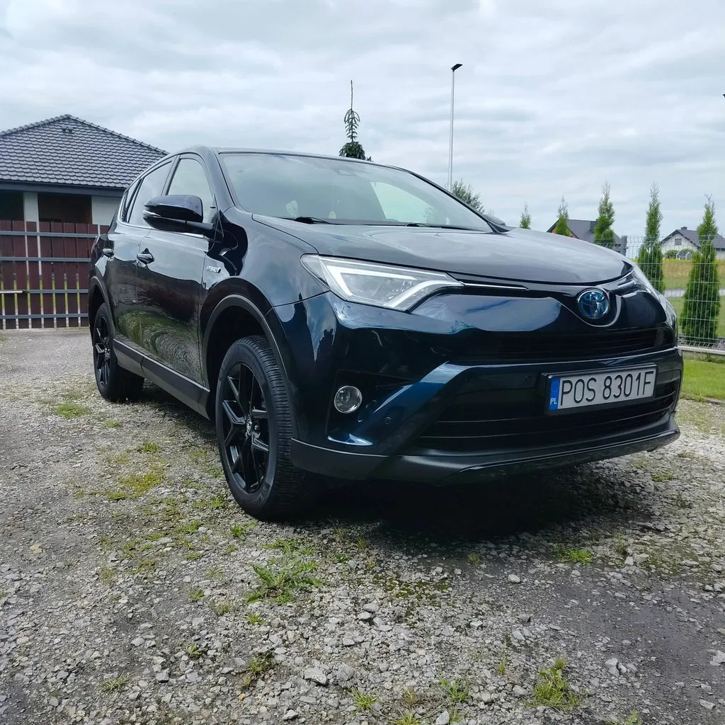 Zdjęcie: 2019 Toyota RAV-4