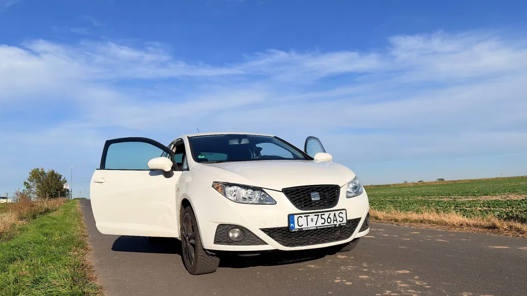 Zdjęcie: 2009 Seat Ibiza