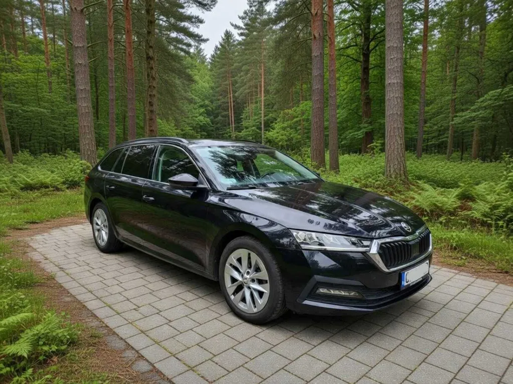 Zdjęcie: 2022 Skoda Octavia