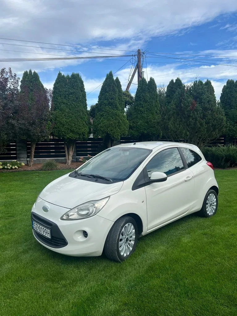 Zdjęcie: 2009 Ford KA
